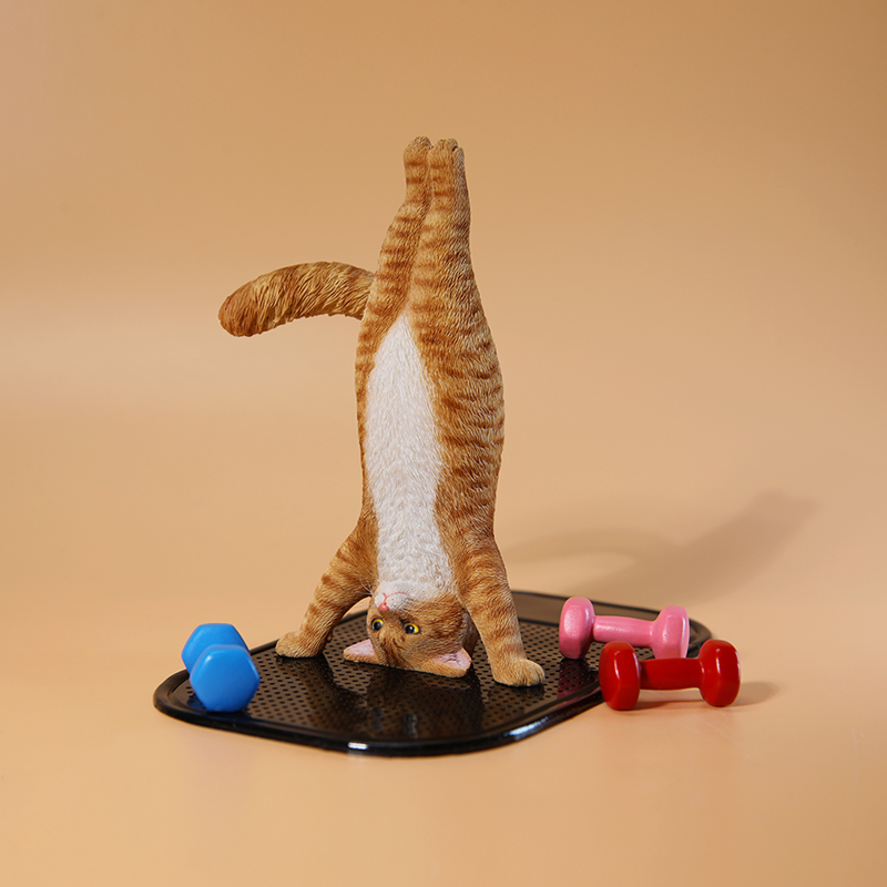 1/6 Scale Mini Simulated Fitne - Yoga Fitness Tva 评论和价格